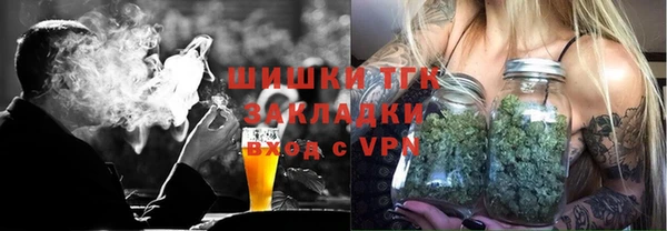 индика Киренск