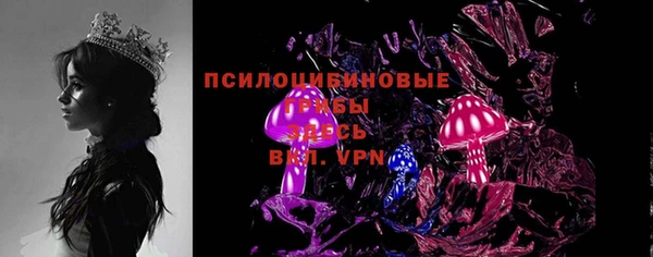 индика Киренск