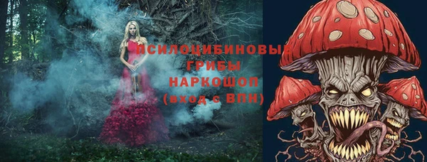 дурь Касимов