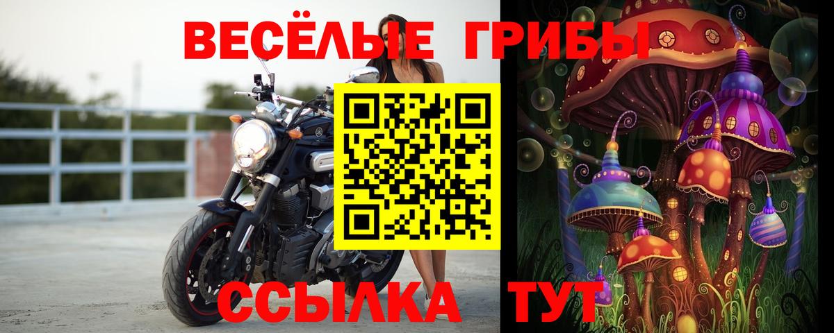 Малгобек  Псилоцибиновые грибы Cubensis  купить наркотики сайты  Вход с VPN 